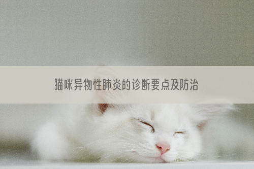 猫咪异物性肺炎的诊断要点及防治措施