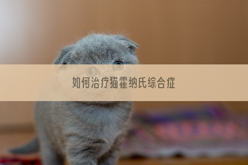 如何治疗猫霍纳氏综合症