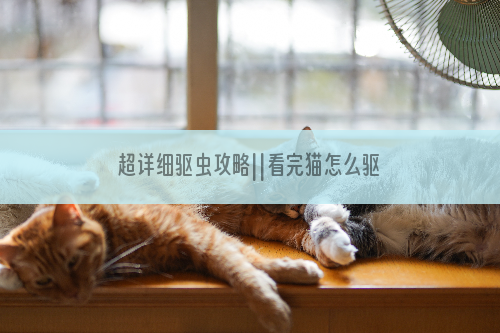 超详细驱虫攻略||看完猫怎么驱虫一目了然！