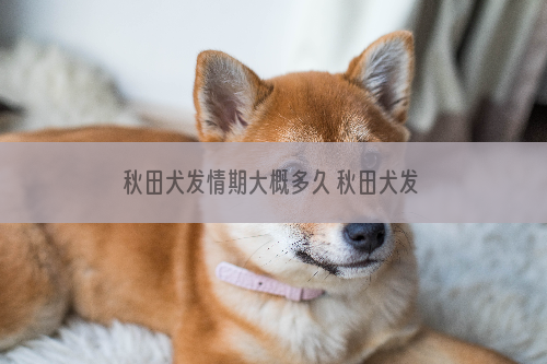 秋田犬发情期大概多久 秋田犬发情的特征