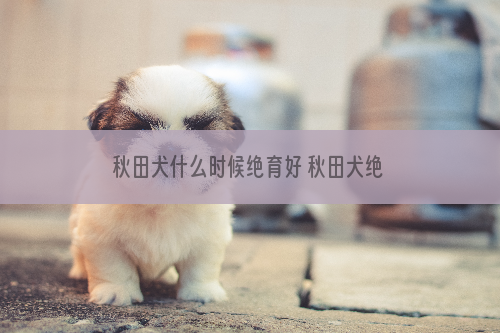 秋田犬什么时候绝育好 秋田犬绝育的好处与坏处