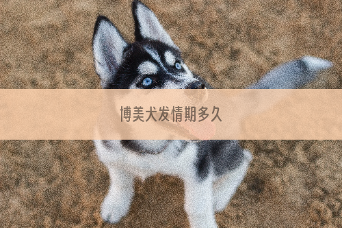 博美犬发情期多久