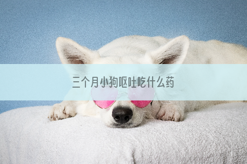 三个月小狗呕吐吃什么药