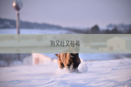 狗又吐又拉稀