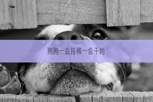 狗狗一会拉稀一会干的