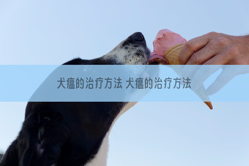 犬瘟的治疗方法 犬瘟的治疗方法及用药