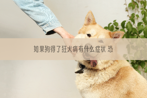 如果狗得了狂犬病有什么症状 恐水怕光的一定要警惕！