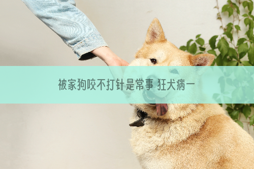 被家狗咬不打针是常事 狂犬病一旦感染死亡率100!