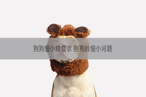 狗狗细小的症状 狗狗的细小问题严重到你想象不到！