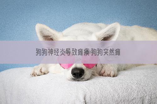 狗狗神经炎导致瘫痪 狗狗突然瘫痪或因日常没有注意的小事