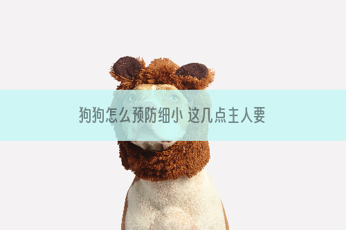 狗狗怎么预防细小 这几点主人要知道