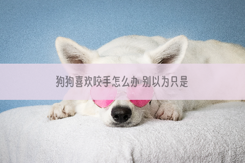 狗狗喜欢咬手怎么办 别以为只是好玩