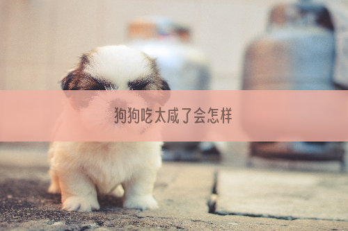 狗狗吃太咸了会怎样