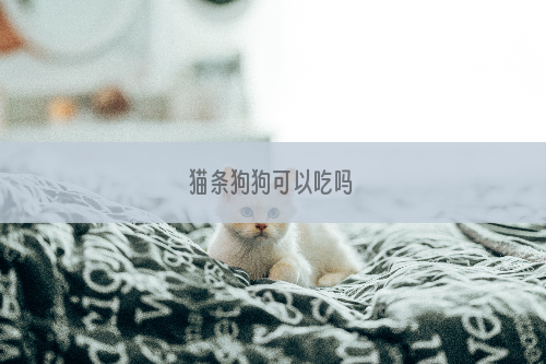 猫条狗狗可以吃吗