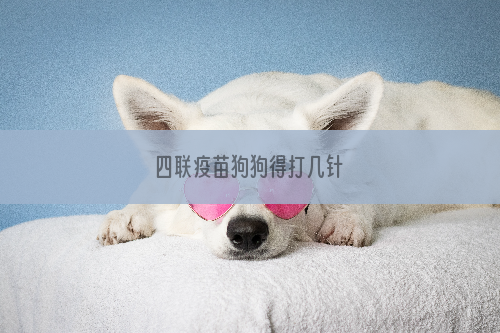 四联疫苗狗狗得打几针