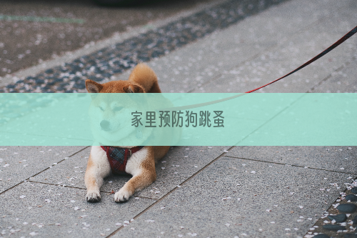家里预防狗跳蚤