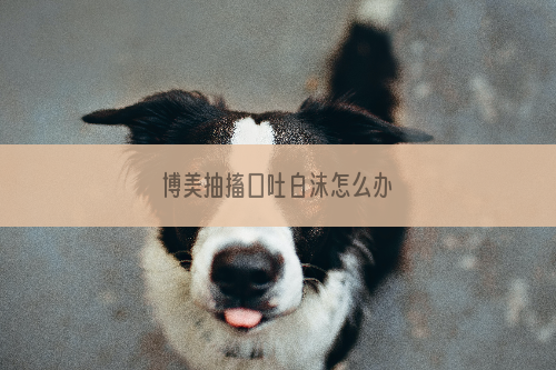 博美抽搐口吐白沫怎么办