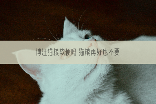 博汪猫粮软便吗 猫粮再好也不要贪多