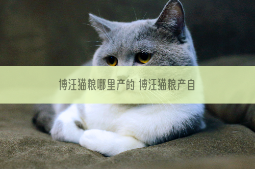 博汪猫粮哪里产的 博汪猫粮产自于湖南