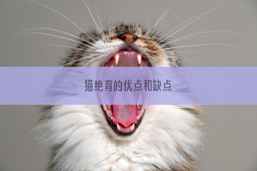 猫绝育的优点和缺点