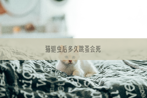 猫驱虫后多久跳蚤会死