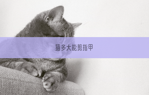 猫多大能剪指甲