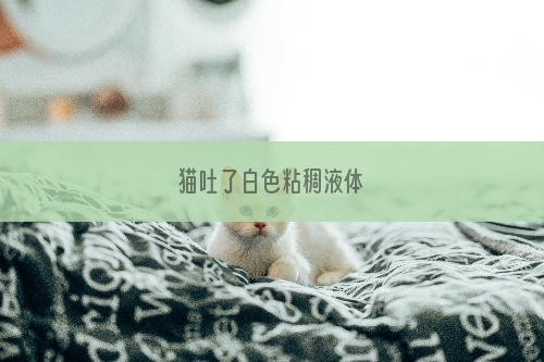 猫吐了白色粘稠液体