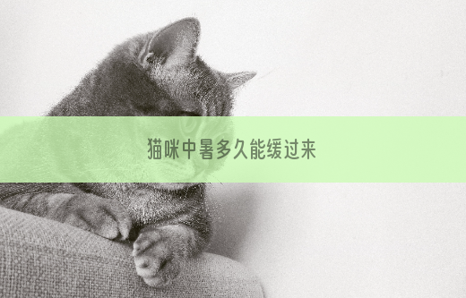 猫咪中暑多久能缓过来