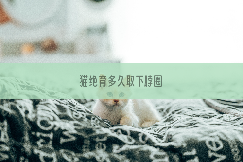 猫绝育多久取下脖圈