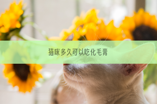 猫咪多久可以吃化毛膏