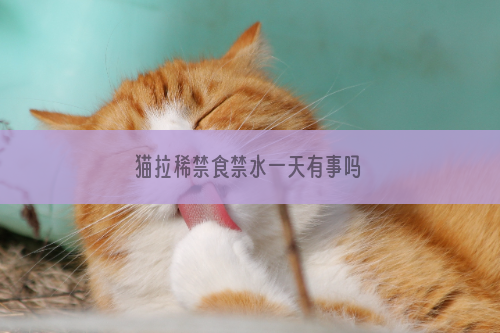 猫拉稀禁食禁水一天有事吗
