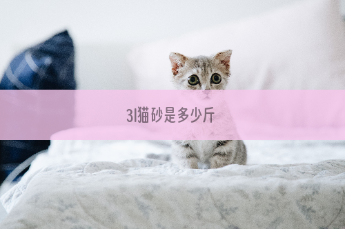 3l猫砂是多少斤