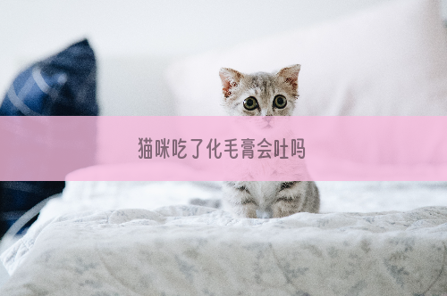 猫咪吃了化毛膏会吐吗