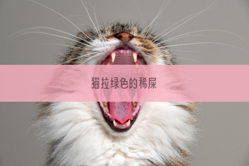 猫拉绿色的稀屎