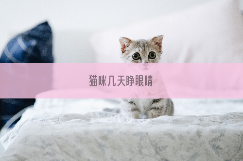 猫咪几天睁眼睛