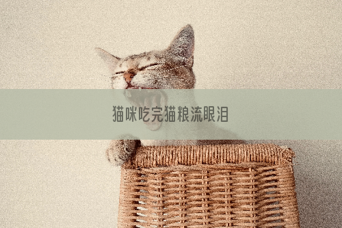 猫咪吃完猫粮流眼泪