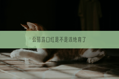 公猫露口红是不是该绝育了
