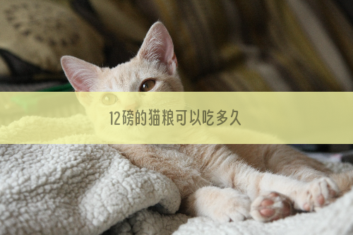12磅的猫粮可以吃多久