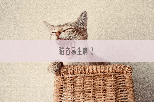 猫容易生病吗