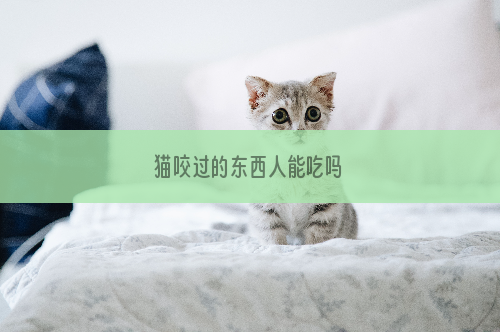 猫咬过的东西人能吃吗