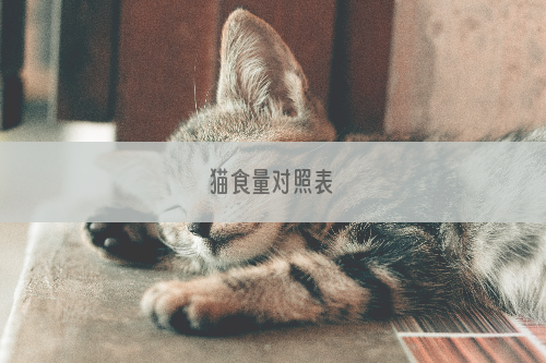 猫食量对照表