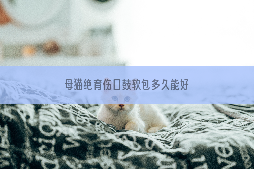 母猫绝育伤口鼓软包多久能好