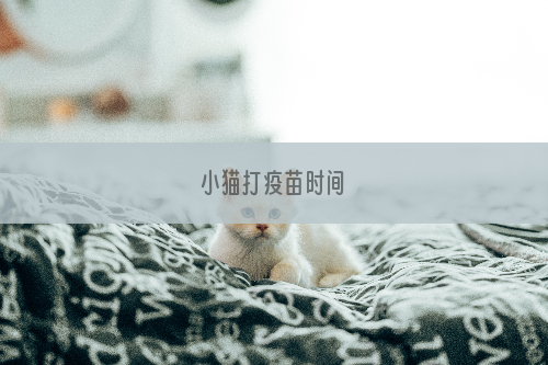 小猫打疫苗时间