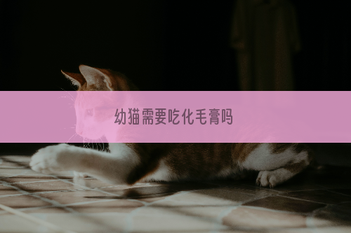 幼猫需要吃化毛膏吗