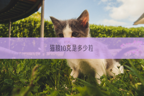 猫粮10克是多少粒