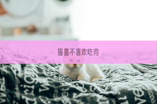 猫喜不喜欢吃肉