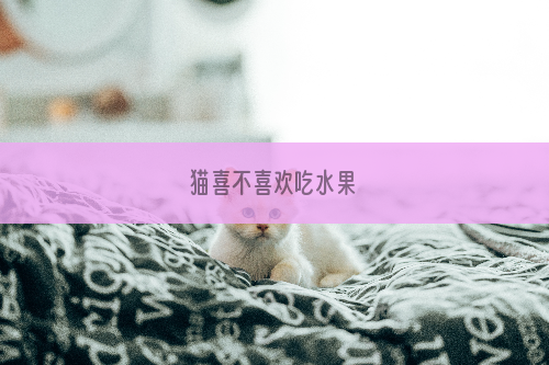 猫喜不喜欢吃水果