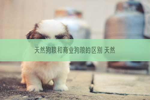 天然狗粮和商业狗粮的区别 天然狗粮和商业狗粮有什么不同