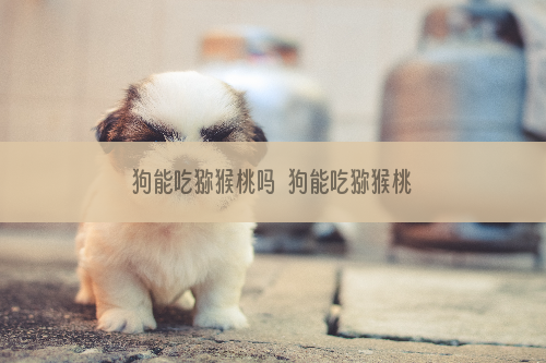 狗能吃猕猴桃吗  狗能吃猕猴桃会怎么样