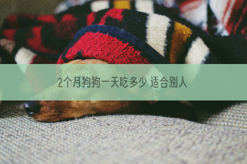 2个月狗狗一天吃多少 适合别人家狗的不一定适合你家